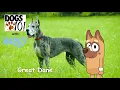 Dogs 101 with Bluey S3 E7 Great Dane with Tiny C