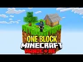 I Survived 100 Days on ONE BLOCK in Hardcore Minecraft