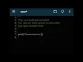 Problem 1 Python Comments Level 1