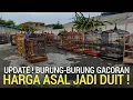 Lagu MANTAP ! HARGA NEGO SAMPAI JADI BURUNG GACORAN LENGKAP DI PASAR BURUNG PRAMUKA HARI INI 