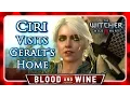 Witcher 3 BLOOD AND WINE Witcher Ciri Visits Geralt s Home No Romance