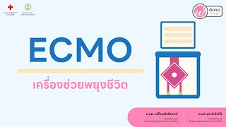 เครื่องเอ็มโอ หรือ xmo ทำหน้าที่อะไรในร่างกาย