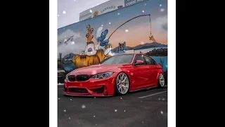 مهرجان صدي صوت جامد          دندنها