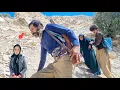 Download Lagu Master's help to Sasan to save his mother in the mountains ⚔️