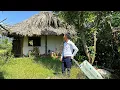 Download Lagu Journey Leaving the City for a Free Life in the Forest Of a Young CEO: From Entrepreneur to Farmer