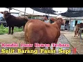 Download Lagu Kondisi Pasar Hewan Gondanglegi Terbaru Sulit Barang Pasar Sepi‼️ 3 Juli 2025. #sapi #cow