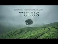 TULUS Orchestra Full Album | Greatest Hits Instrumental Playlist (Relaxing Symphonic Music Cover)