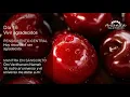 Download Lagu Deepak Chopra día 16 Meditación Creando Abundancia