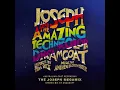 The Joseph Megamix (Australian Cast) - Stereo Mix