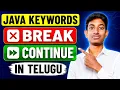 Break and Continue Statements in Java Java Tutorial for Beginners