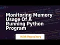 monitoring memory usage of a running python program