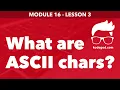 Module 16 - Lesson 3 What are ASCII characters Learn Programming