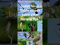 Suara pikat burung ribut hutan liar mp3