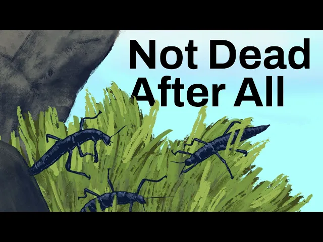 Video: When We Get Extinction Wrong