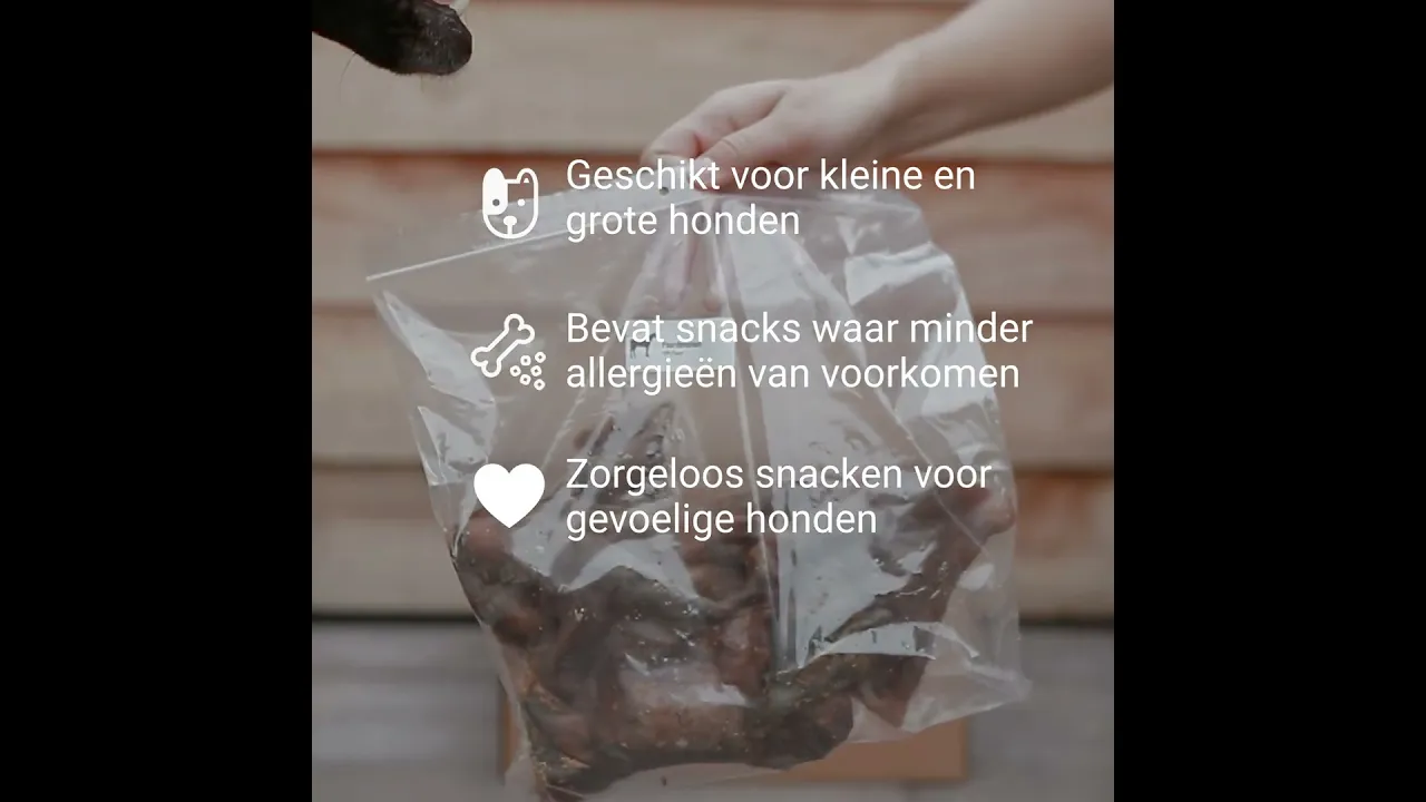 Hypoallergene Bellobox