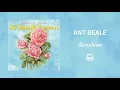 Lagu Ant Beale - Sunshine (Official Audio)