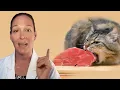 Is Raw Cat Food Safe For Cats A Vet s Perspective