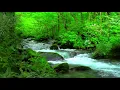 Dormir Bien - Musique pour S'immerger dans un Sommeil Profond et Revigorer L'âme - Musique de L'eau