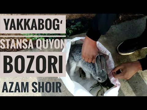 YAKKABOG STANSA QUYON BOZORI