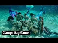 Lagu Watch Florida’s professional mermaids swim in Dunnellon’s springs