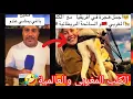 Download Lagu الكلب المغربي 🇲🇦والسائحة البرطانية❤️صاحب الكلب باغي يمشي عندو 🤣أجمل هجرة 