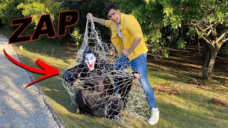 fiz uma armadilha para pegar o zap 
