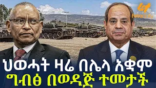 Ethiopia - ህወሓት ዛሬ በሌላ አቋም | ግብፅ በወዳጅ ተመታች