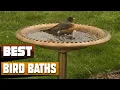 Best Bird Bath In 2026 - Top 10 Bird Baths Review