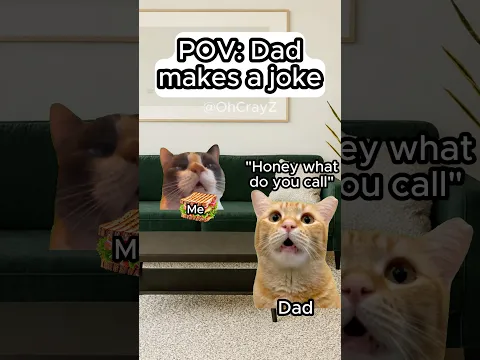 CAT MEMES 🐱 DAD MAKES A JOKE #relatable #cat #funny #family #shorts