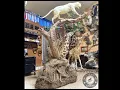 Amy nin Hayvan Sanati Tahnitciligi 1 Amy s Animal Art Taxidermy