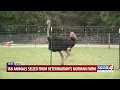 168 animals some exotic seized from OKC veterinarian s farm