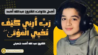 وإذا قال إبراهيم رب أرني كيف تحيي الموتى تلاوة رائعة للقارئ عبدالله أحمد شعبان دندنها