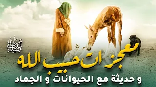 حصريا ولأول مره الفيلم الديني معجزات حبيب الله ﷺ و حديثه مع الحيوانات والجماد 