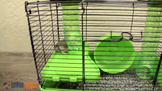 Critter Climbing Challenge Critter-cages com