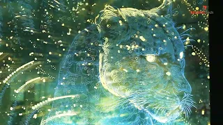 The Oman Pavilion At Expo 2025 Osaka 