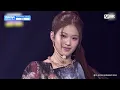 [#2024MAMA] Performing Artist Compilation | #izna