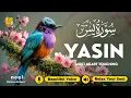Download Lagu Surah Yasin (Yaseen) سورة يس ✦ Beautiful voice heart touching ✦ Soulful Quran For Sleep ✦ Alaa Aqel