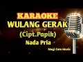Download Lagu karaoke wulang gerak_Cipt.Papik // Music Bery