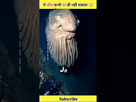 This fish never dies 😱l #shorts #jellyfish