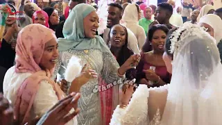     السلطان  حمو اسماعيل   اغنيه متمنى شوفتك  فرح نصر السامبو   افراح الديوان   توشكى    احمدكانو دندنها