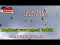 Download Lagu SP Triple9 STEREO INAP Bhayangkari !! Suara Walet Kombinasi Penyedot Walet Anakan