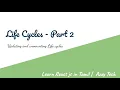 9 Life cycles - part 2