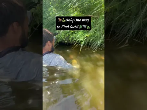 Famous Last Words! Only One Way to Find Out!! Giant Found Hiding Under Bank!