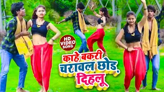 live dance shivya annad kdp bhojpuri dhobi geet