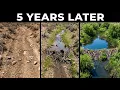 Nevada Released 5 Beavers Into a Dead Desert What They Did With Mud and Sticks Was Shocking