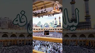 ليلة عرفه وقفة عرفات 