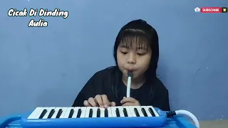 cicak cicak di dinding pianika kelas 4