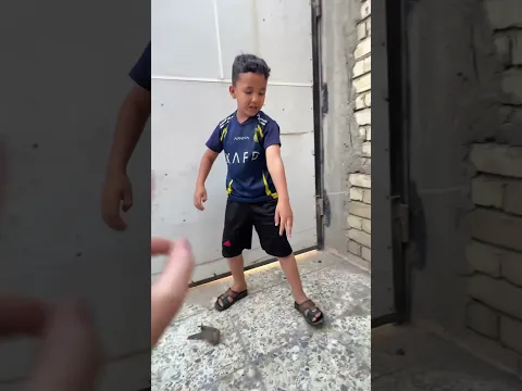 تعرفون شسمه هاذا الطير لولا
