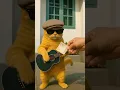 Download Lagu kucing ngamen