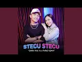 Download Lagu Stecu Stecu (feat. Faris Adam)